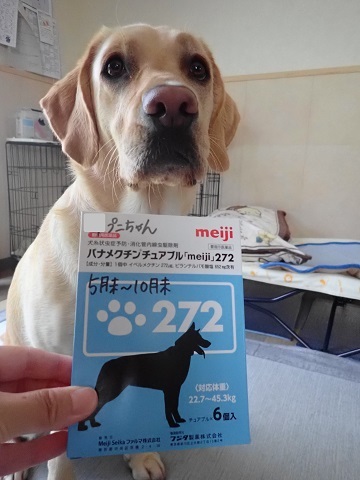 たぶん復活。_c0182012_11012993.jpg