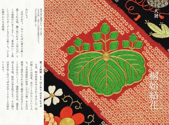 今日から大暑で桐始結花(きりはじめてはなをむすぶ)_c0025115_21493437.jpg