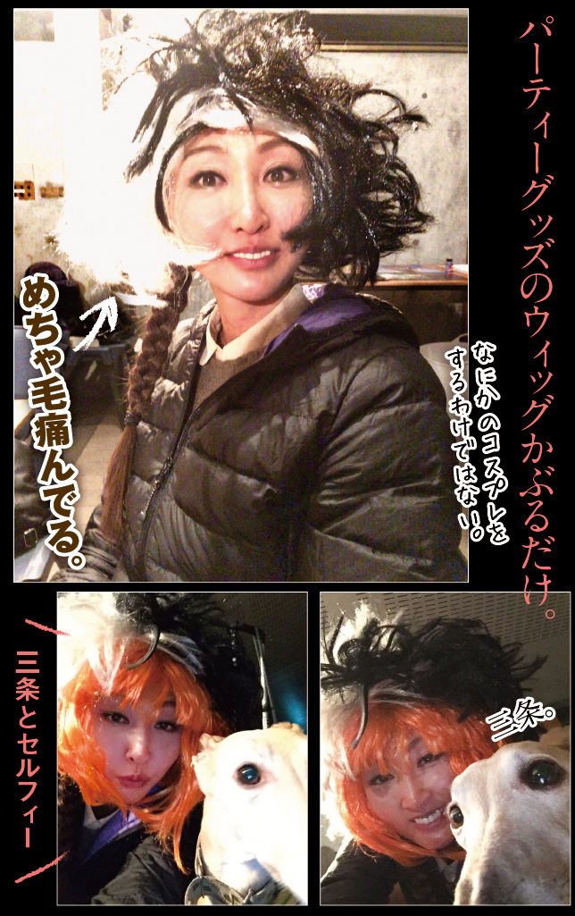 アート旅行に行こう!その78_a0358016_20413582.jpg