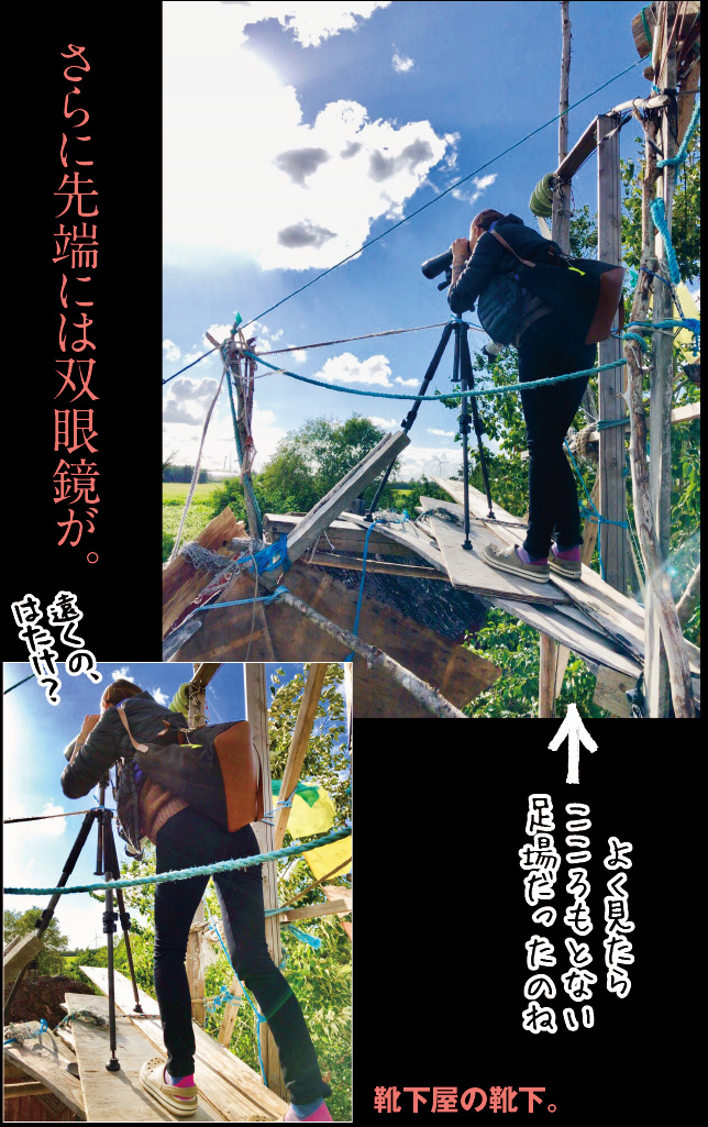 アート旅行に行こう!その78_a0358016_20430479.jpg
