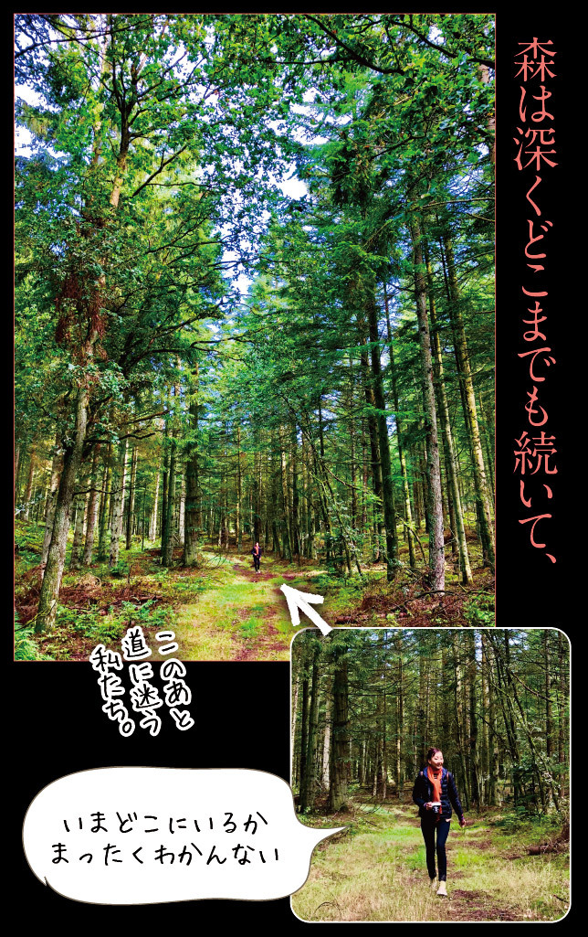 アート旅行に行こう!その78_a0358016_20433861.jpg