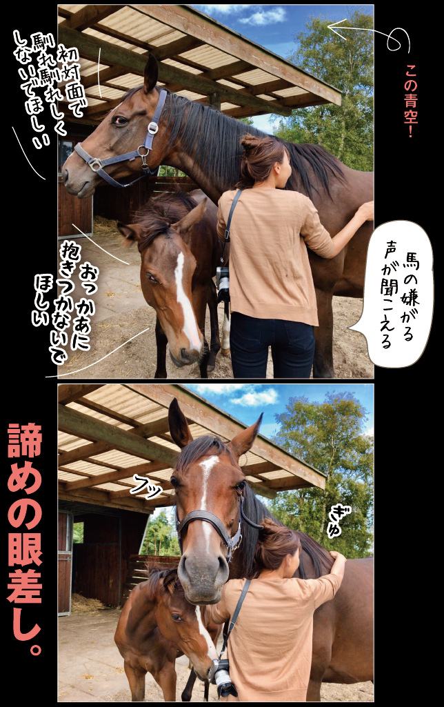 アート旅行に行こう!その78_a0358016_20434409.jpg