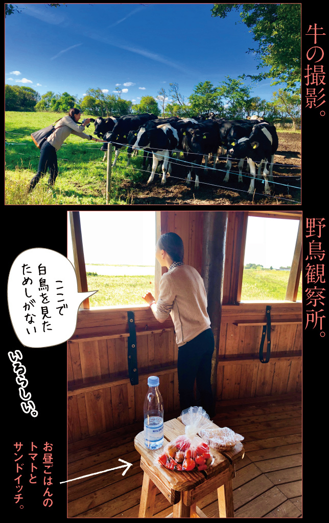 アート旅行に行こう!その78_a0358016_20434778.jpg