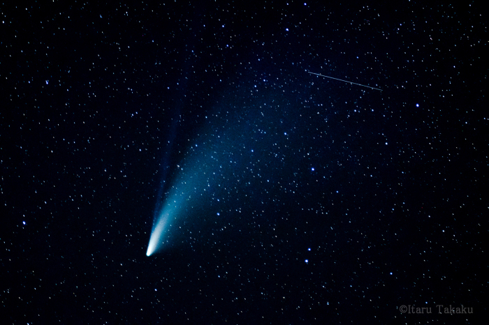 ネオワイズ彗星とアオノメハタ産卵など！！_b0186442_19150357.jpg