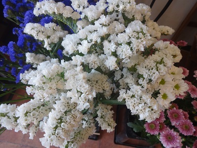 白い花多め フラワーショップデリカの花日記