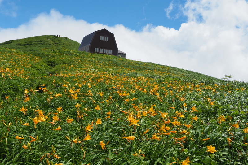 2020/7/19 エブリ差岳　足ノ松尾根ピストン_b0189948_19480090.jpeg