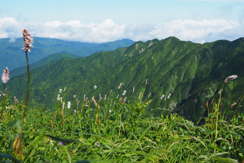 2020/7/19 エブリ差岳　足ノ松尾根ピストン_b0189948_19584226.jpeg