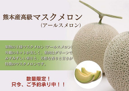 熊本県産!匠が育てた高級マスクメロン大好評販売中!本日、令和5年夏分の初出を荷しました!_a0254656_22582708.jpg