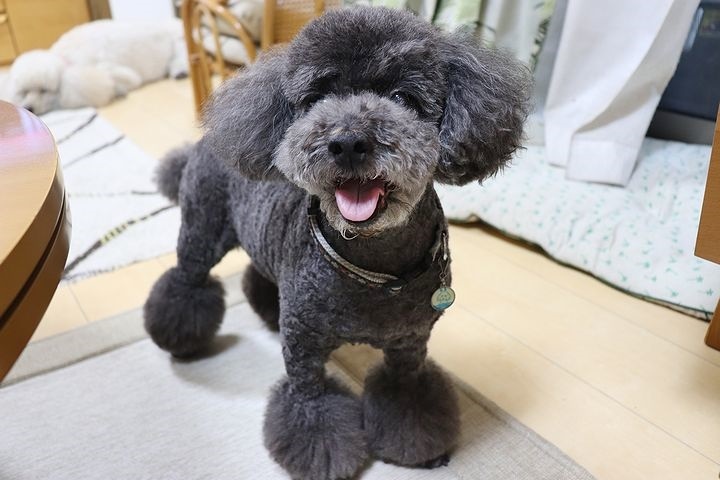 心配事が尽きない。_b0111376_14312649.jpg
