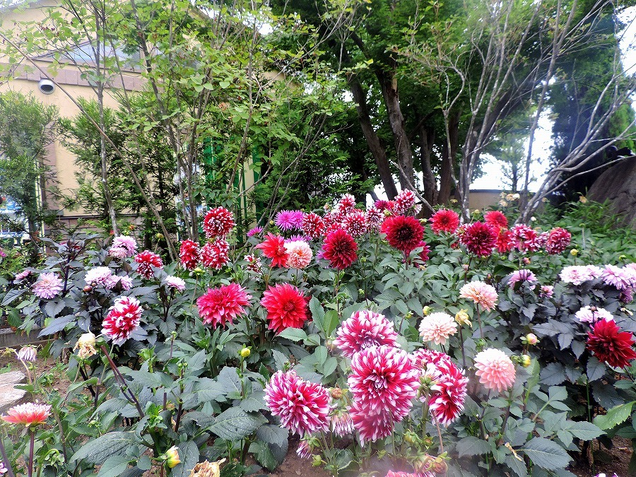 甲斐の国 続_c0187781_11233545.jpg