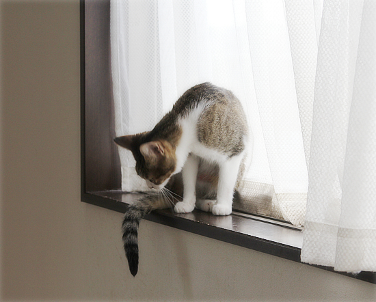 末っ子の座_a0389088_09492008.jpg