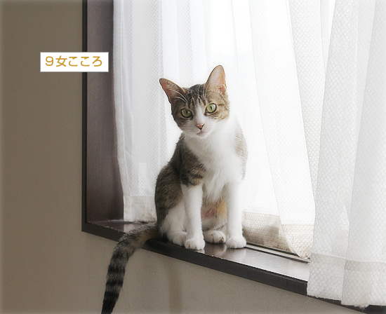 末っ子の座_a0389088_09492090.jpg