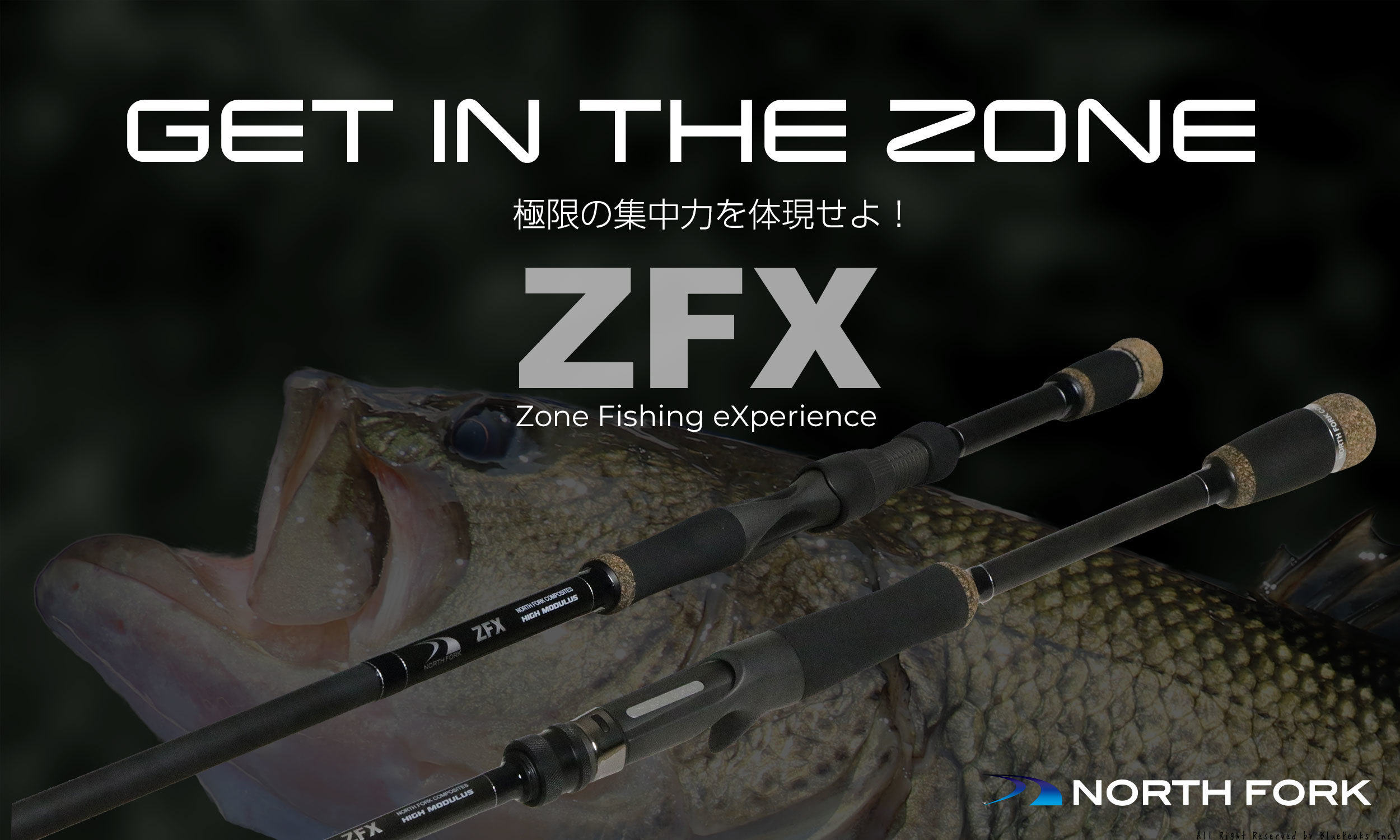 ZFX新モデル追加のお知らせ_a0183304_14473258.jpg