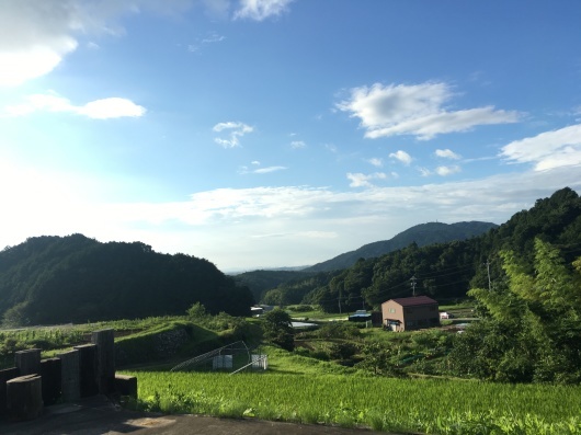 今日のこと 7月 24日!!金曜ですが、臨時営業しています!!_d0263607_09570912.jpg