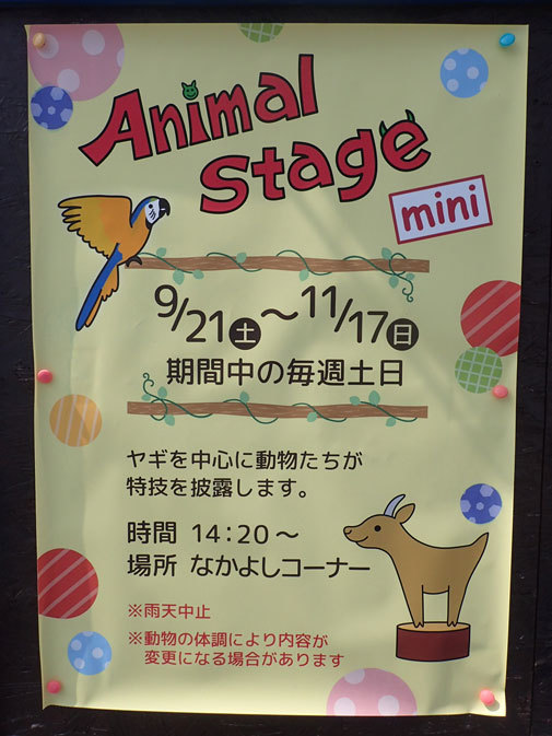 アニマルステージmini 埼玉県こども動物自然公園 September 19 続々 動物園ありマス アニマルステージmini 埼玉県こども動物自然公園 September 19 続々 動物園ありマス