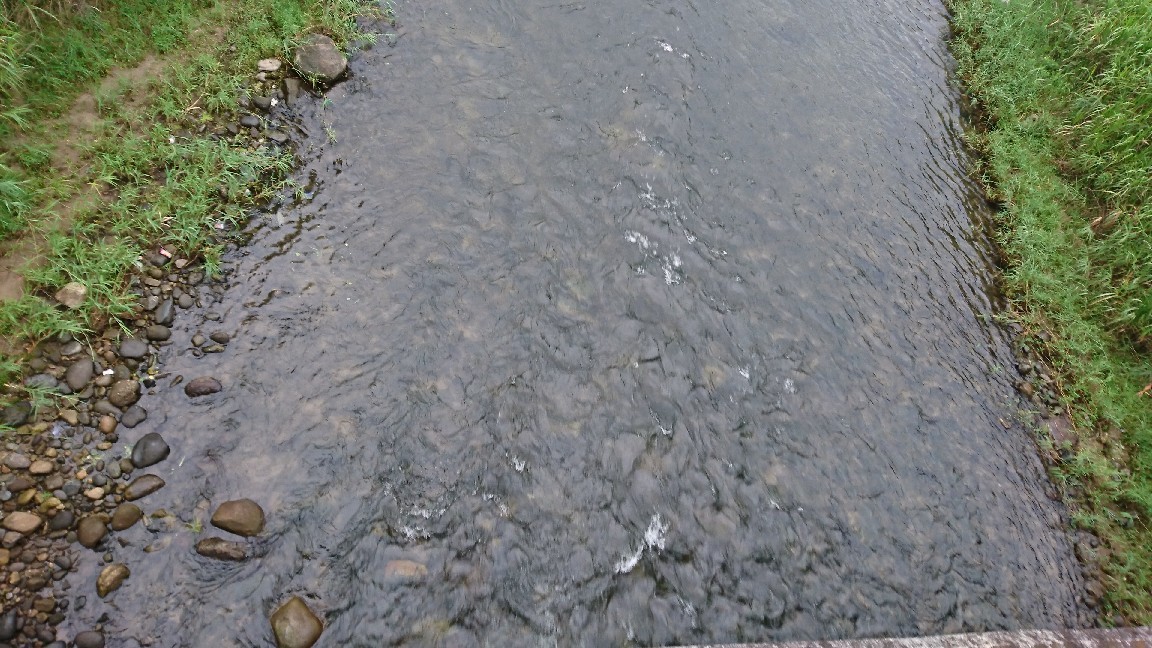 7月23日 河川情報。午..._c0266737_06092397.jpg