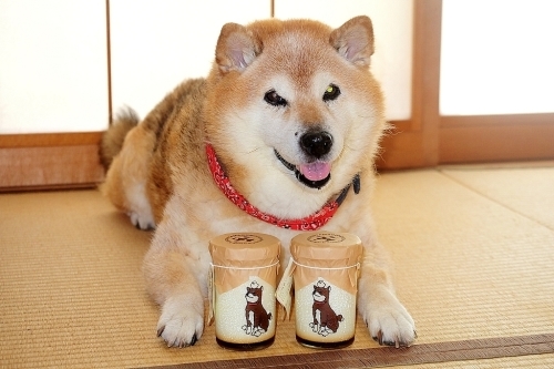 いただきもの_b0314043_19332112.jpg