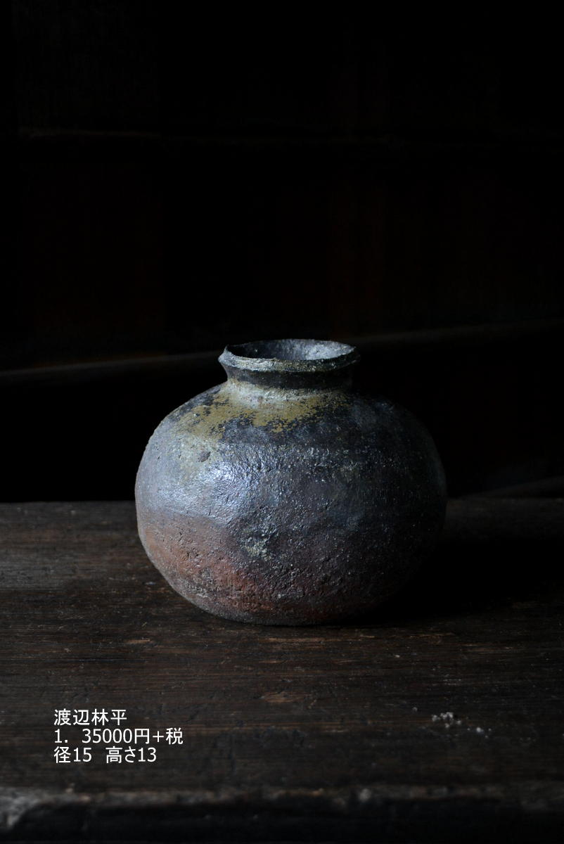 「渡辺林平・渡邊心平展」7日目_d0087761_22565723.jpg