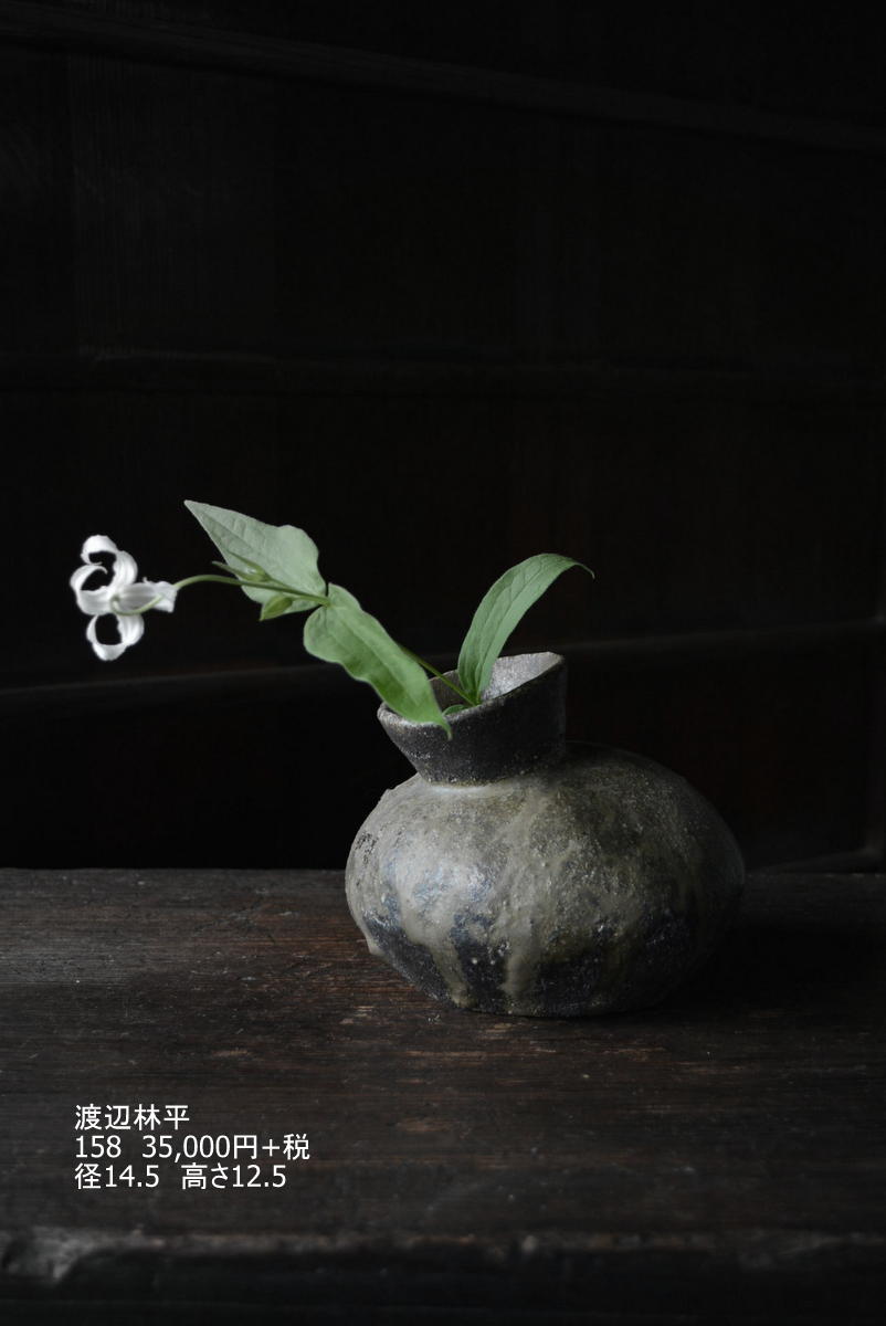 「渡辺林平・渡邊心平展」7日目_d0087761_2257559.jpg