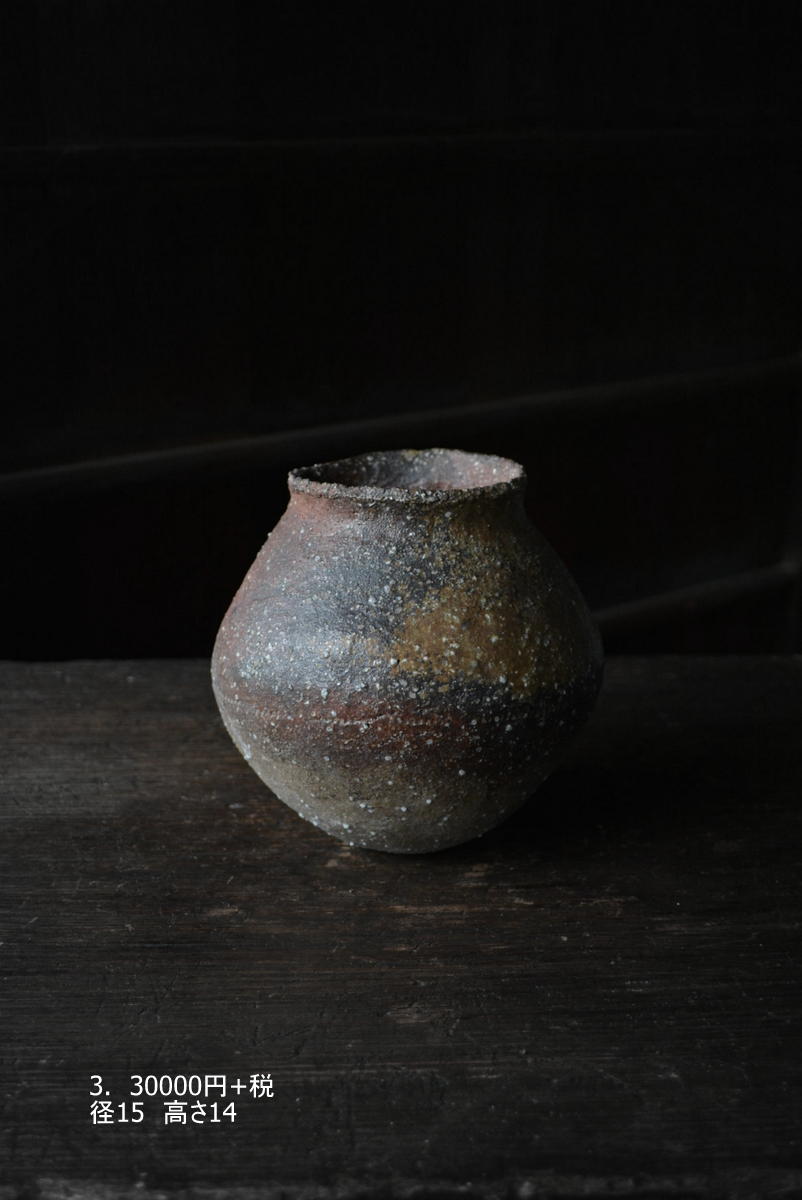 「渡辺林平・渡邊心平展」7日目-3_d0087761_2384543.jpg