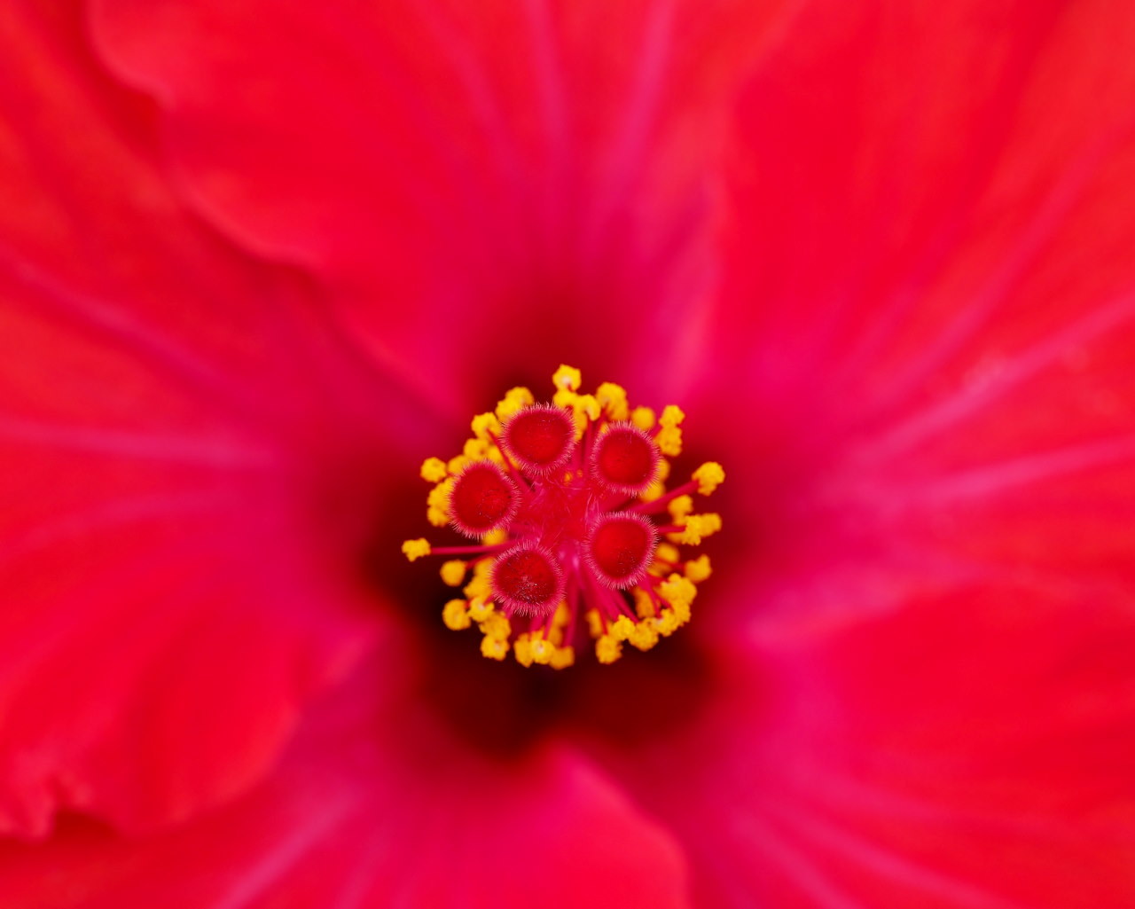 フラワーパークで 花・虫・蛙_c0305565_17053177.jpg