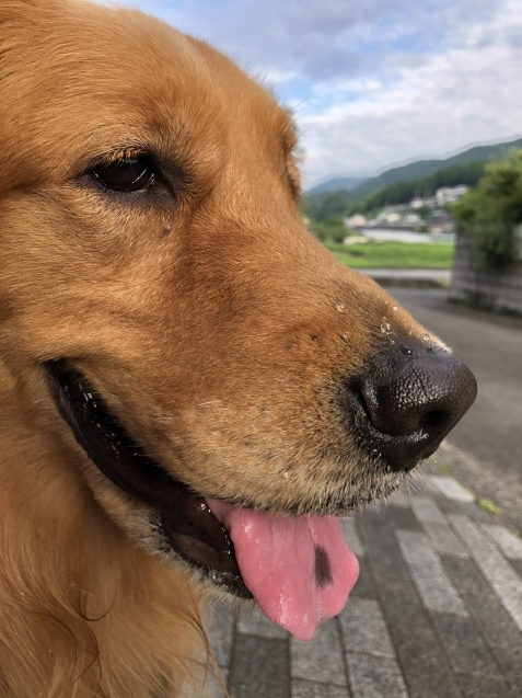 早起き。_a0394574_08383610.jpeg