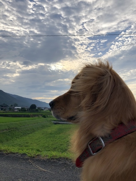 早起き。_a0394574_08491087.jpeg
