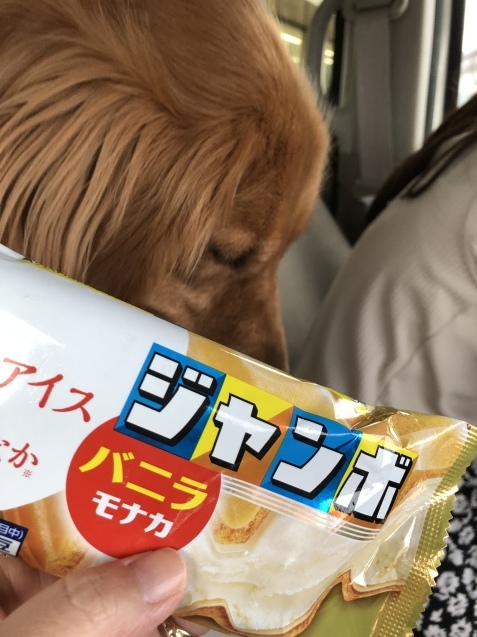 マイカー自粛、行先決めずの。_a0394574_23291527.jpeg