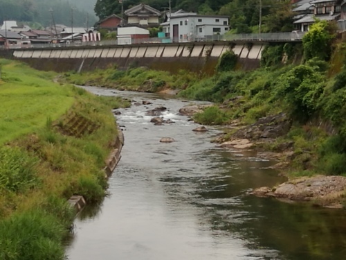 2020/7/23　   水位観測  （槻の木橋より）_b0111189_05360079.jpg