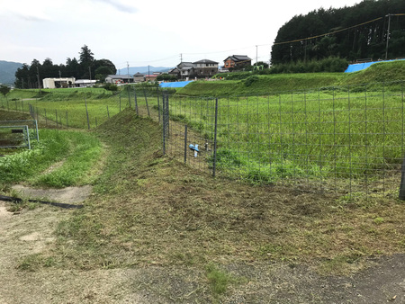 久しぶりに田んぼの草刈り_a0026295_17105514.jpg