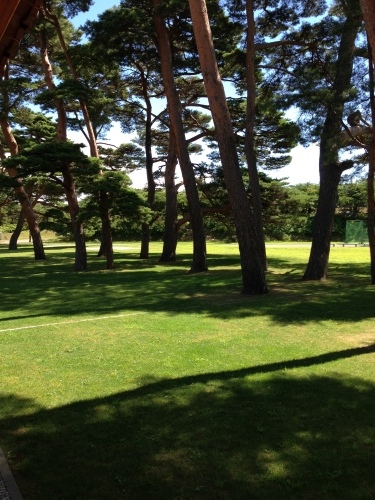 日本の行く末_d0184114_20570133.jpeg