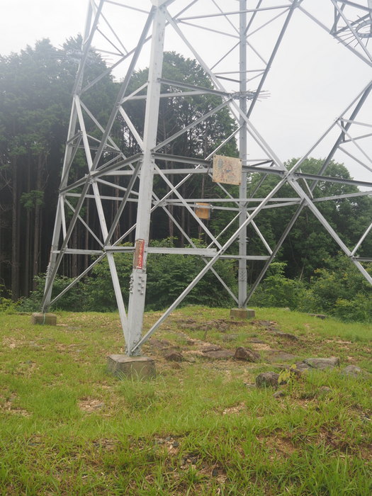 小畑山登山（中伏～大杉～小畑山～小畑尾根～～中伏）_c0116915_00371729.jpg