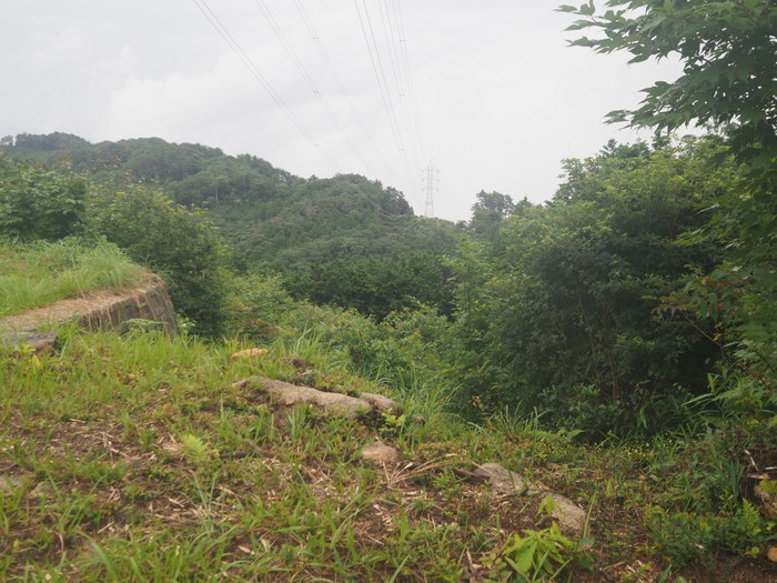 小畑山登山（中伏～大杉～小畑山～小畑尾根～～中伏）_c0116915_00373068.jpg