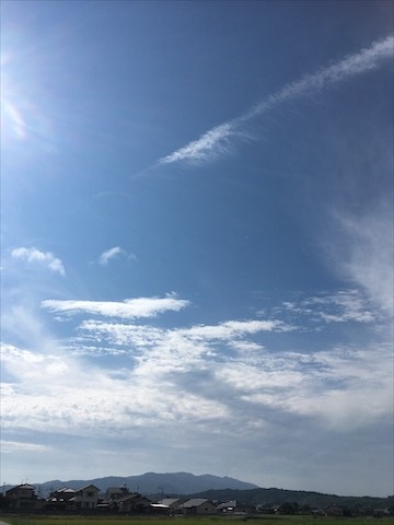 やめるコト やすむコト_f0015517_22191212.jpeg