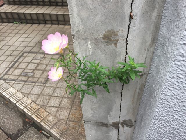 Go To キャンペーン!_f0113224_12381626.jpg
