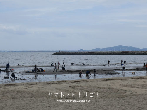 海さんぽ②【フォトムービーあり】_e0394031_09593883.jpg