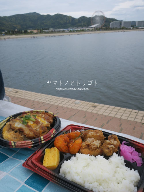海さんぽ②【フォトムービーあり】_e0394031_09594003.jpg