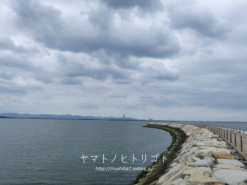 海さんぽ②【フォトムービーあり】_e0394031_09594605.jpg
