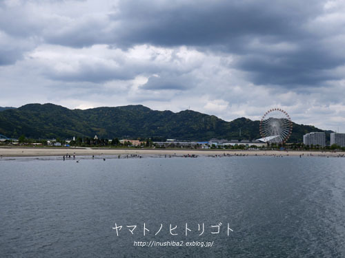 海さんぽ②【フォトムービーあり】_e0394031_09595105.jpg