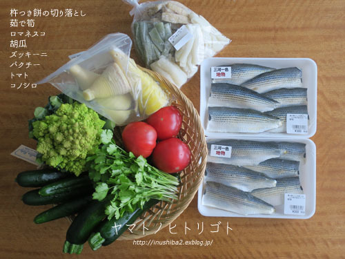 海さんぽ②【フォトムービーあり】_e0394031_09595338.jpg