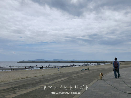 海さんぽ②【フォトムービーあり】_e0394031_09595660.jpg