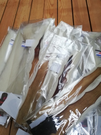 抜群カーフテール 昨夜に届きました。_e0029256_07021632.jpg