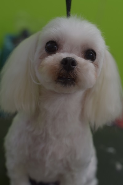 福ちゃんからのご紹介(^^♪_b0347262_09234794.jpg