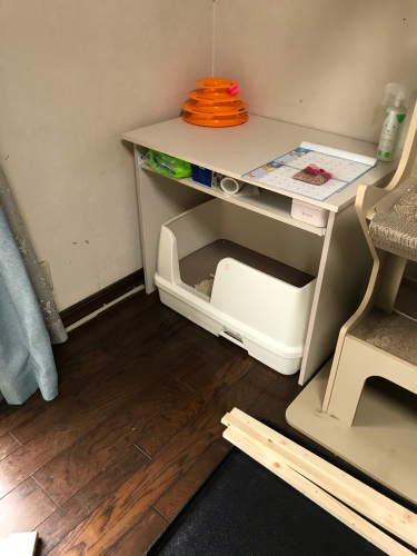 猫トイレをdiyで作ってみた ジミニー クリケット