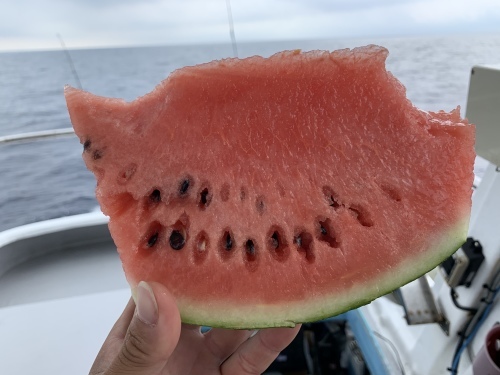7月24日 キハダ便 38キロ_d0335966_17592092.jpeg