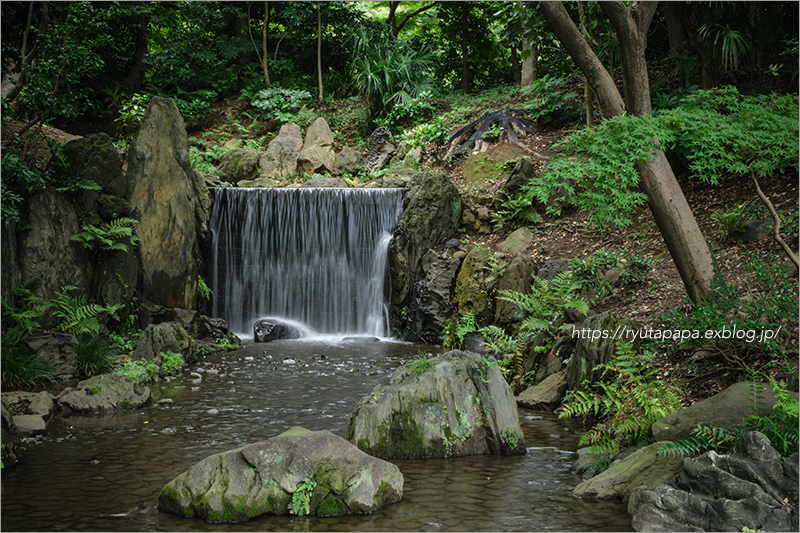 小石川後楽園_a0280374_16475448.jpg