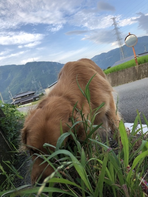 純白。_a0394574_07514355.jpeg