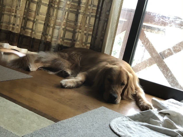 純白。_a0394574_07572357.jpeg
