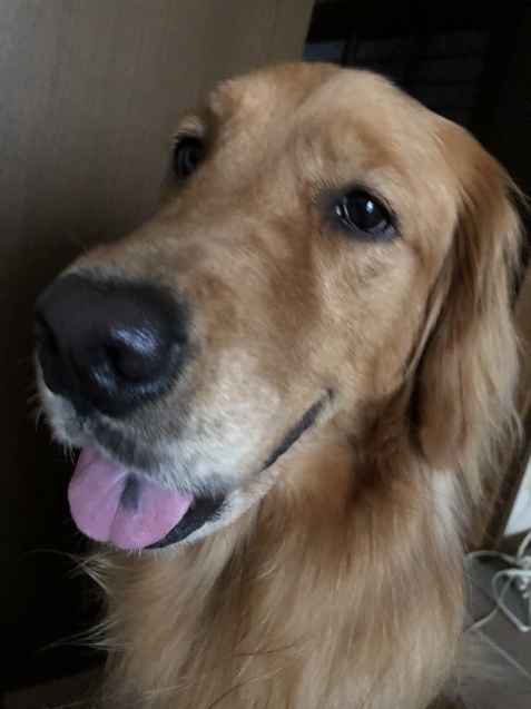 純白。_a0394574_07592864.jpeg