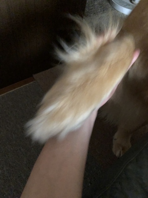 純白。_a0394574_08002181.jpeg
